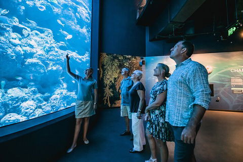 Cairns Aquarium By Twilight With 3-Course Dinner - Tourism Townsville 1