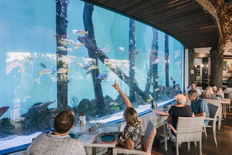 Cairns Aquarium By Twilight With 3-Course Dinner - Tourism Townsville 4