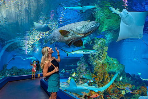 Cairns Aquarium Admission Ticket - Tourism Townsville 3