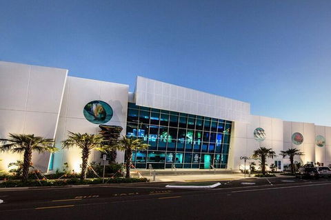 Cairns Aquarium Admission Ticket - Tourism Townsville 4
