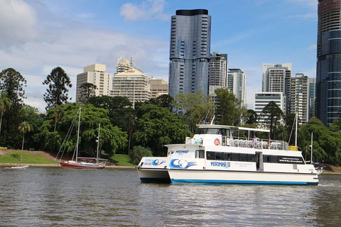 Lone Pine Koala Sanctuary Admission With Brisbane River Cruise - Tourism Townsville 2