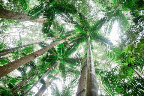 Fraser Explorer K'gari 2-Day Tour - Tourism Townsville 2
