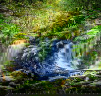 Day Tour in Mt. Field Mt. Wellington Bonorong Wildlife Sanctuary and Richmond - Tourism Townsville