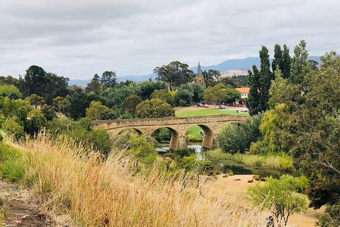 Day Tour In Mt. Field, Mt. Wellington, Bonorong Wildlife Sanctuary And Richmond - Tourism Townsville 3