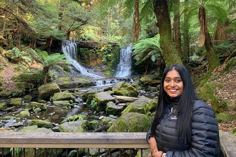 Day Tour In Mt. Field, Mt. Wellington, Bonorong Wildlife Sanctuary And Richmond - Tourism Townsville 5