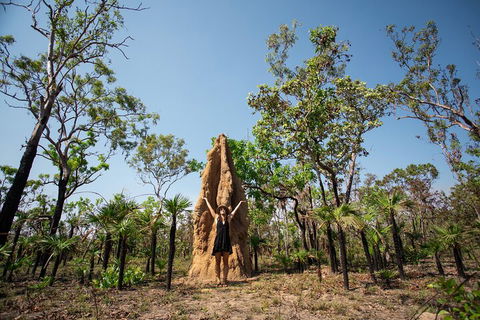 Litchfield National Park - Top End Day Tour From Darwin - Tourism Townsville 5