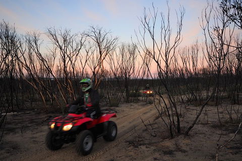 Kangaroo Island Quad Bike (ATV) Tours - Tourism Townsville 1