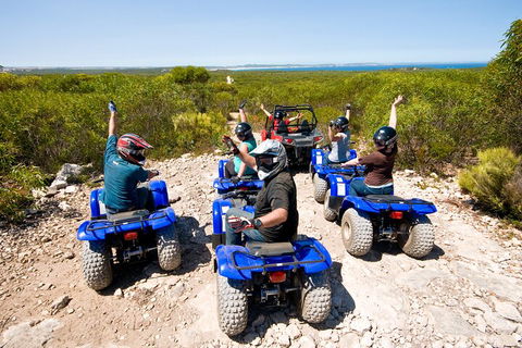 Kangaroo Island Quad Bike (ATV) Tours - Tourism Townsville 3