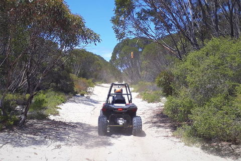 Kangaroo Island Quad Bike (ATV) Tours - Tourism Townsville 4