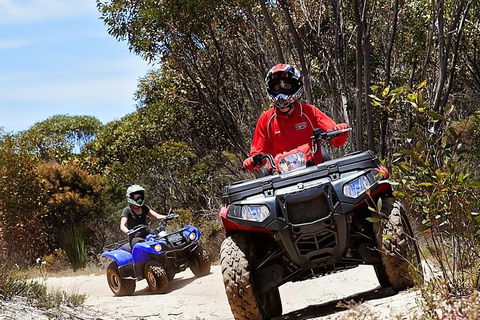 Kangaroo Island Quad Bike (ATV) Tours - Tourism Townsville 5