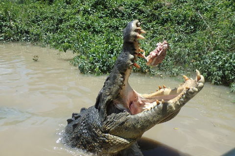 Litchfield And Jumping Crocodiles Full Day Trip From Darwin - Tourism Townsville 3