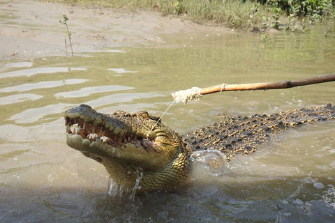 Litchfield And Jumping Crocodiles Full Day Trip From Darwin - Tourism Townsville 4