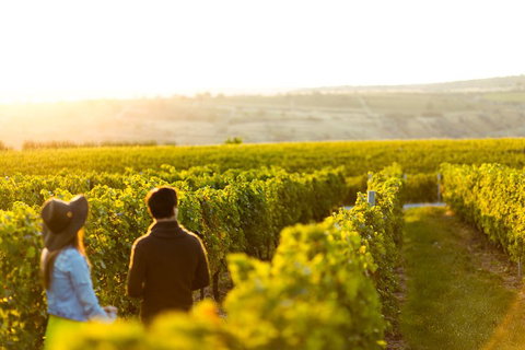 Margaret River Private Tour - Tourism Townsville 2