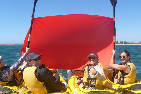 Seal Island And Penguin Island Or Point Peron Sea Kayak Tour - Tourism Townsville 2