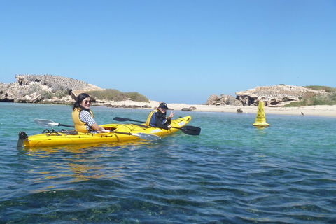 Seal Island And Penguin Island Or Point Peron Sea Kayak Tour - Tourism Townsville 3