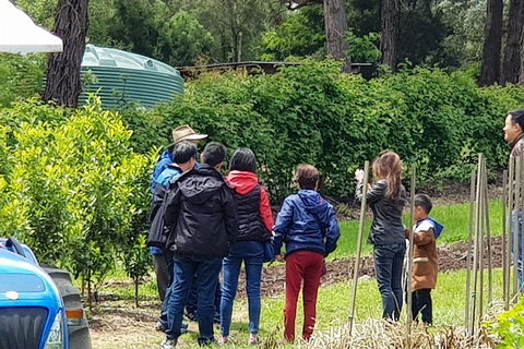 Dandenong Ranges And Rayners Orchard Tour From Melbourne - Tourism Townsville 4