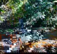 Aquaduck  Your choice of Gold Coast Rainforest Tour - Tourism Townsville
