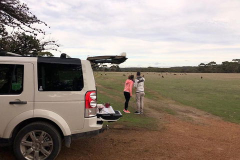 Kangaroo Island 4WD Tour - Flinders Chase - Tourism Townsville 3