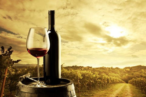 Barossa Valley Cellar Doors Luxury Wine Tour - Tourism Townsville 0