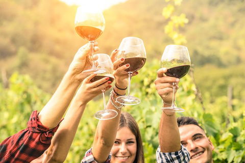 Barossa Valley Cellar Doors Luxury Wine Tour - Tourism Townsville 1