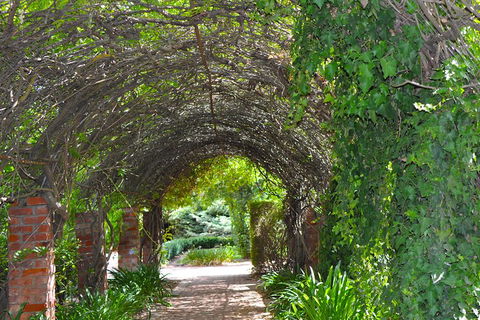 Barossa Valley Cellar Doors Luxury Wine Tour - Tourism Townsville 3