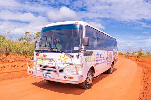Malcolm Douglas Crocodile Park Tour Including Transportation - Tourism Townsville 3