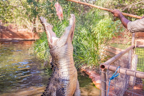 Malcolm Douglas Crocodile Park Tour Including Transportation - Tourism Townsville 5