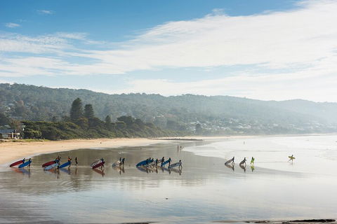 LGBT+ Friendly 12-Hour Great Ocean Road Private Tour - Tourism Townsville 2