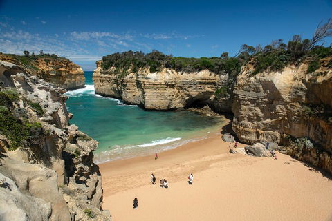 LGBT+ Friendly 12-Hour Great Ocean Road Private Tour - Tourism Townsville 5