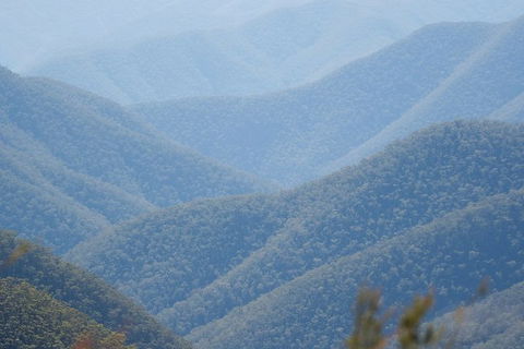 From The Mountains To The Bay - 4 Day Rediscovery Private Tour - Tourism Townsville 1
