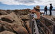 Margaret River Impression Day Tour From Perth - thumb 4