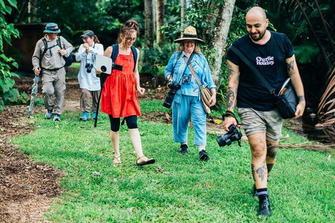 Let's Go Buggin & Let's Go Shroomin - Photography & Nature Walking Tours - Tourism Townsville 0