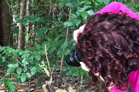Let's Go Buggin & Let's Go Shroomin - Photography & Nature Walking Tours - Tourism Townsville 1