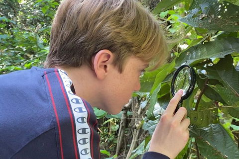 Let's Go Buggin & Let's Go Shroomin - Photography & Nature Walking Tours - Tourism Townsville 3