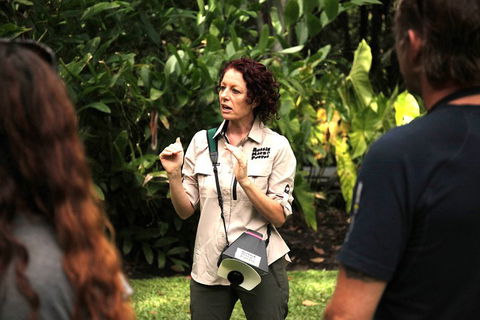 Let's Go Buggin & Let's Go Shroomin - Photography & Nature Walking Tours - Tourism Townsville 5