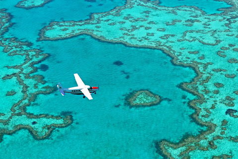 Fly & Sail Package (With Providence) - Tourism Townsville 4
