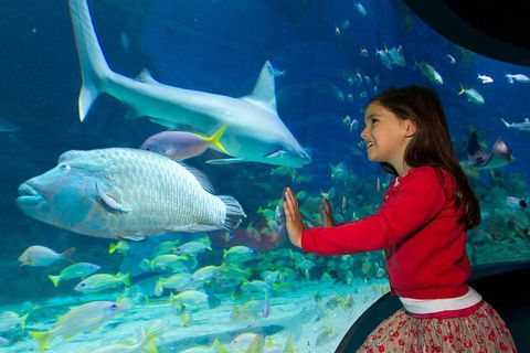 SEA LIFE Melbourne Aquarium Admission Ticket - Tourism Townsville 1