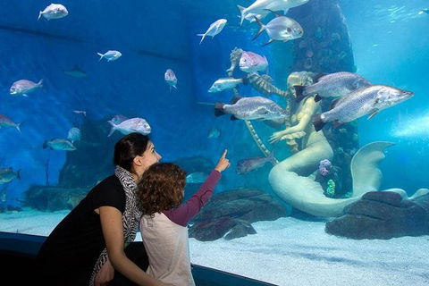 SEA LIFE Melbourne Aquarium Admission Ticket - Tourism Townsville 4