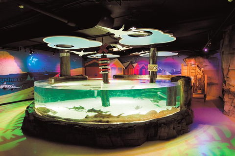 SEA LIFE Melbourne Aquarium Admission Ticket - Tourism Townsville 5