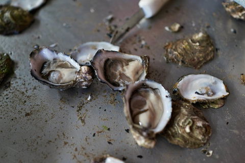 Fine Flavours - Full Day Kangaroo Island Food & Wine Tour - Tourism Townsville 2
