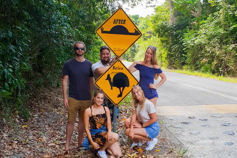 Cape Tribulation, Daintree Rainforest And Wildlife Tour - Tourism Townsville 0