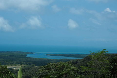 Cape Tribulation, Daintree Rainforest And Wildlife Tour - Tourism Townsville 1