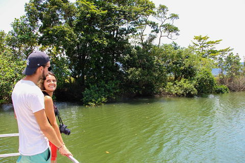 Cape Tribulation, Daintree Rainforest And Wildlife Tour - Tourism Townsville 2