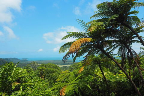 Cape Tribulation, Daintree Rainforest And Wildlife Tour - Tourism Townsville 3