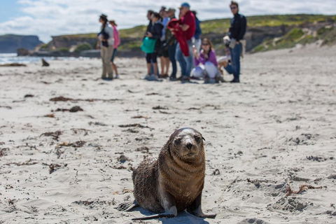 Kangaroo Island In A Day Tour From Adelaide - Tourism Townsville 0