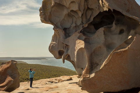 Kangaroo Island In A Day Tour From Adelaide - Tourism Townsville 5