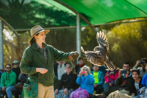 Full Day Kangaroo Island Sip And See Tour Departing From Kangaroo Island - Tourism Townsville 1