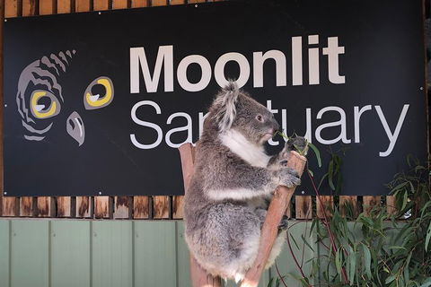 Small-Group Phillip Island Day Trip From Melbourne - Tourism Townsville 3