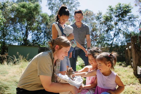 Featherdale Wildlife Park General Admission - Tourism Townsville 0