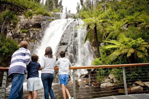 Lake Mountain Snow Trip Including Yarra Valley Chocolaterie From Melbourne - Tourism Townsville 0